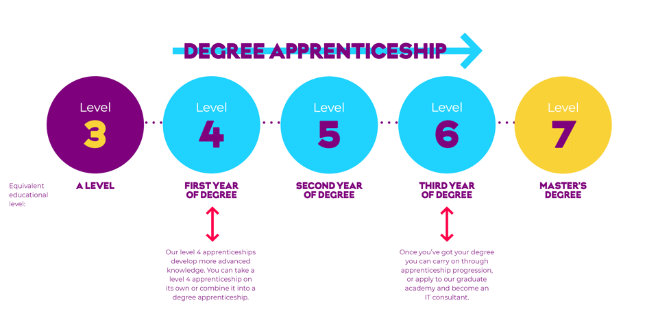 The types of apprenticeship explained by Level.