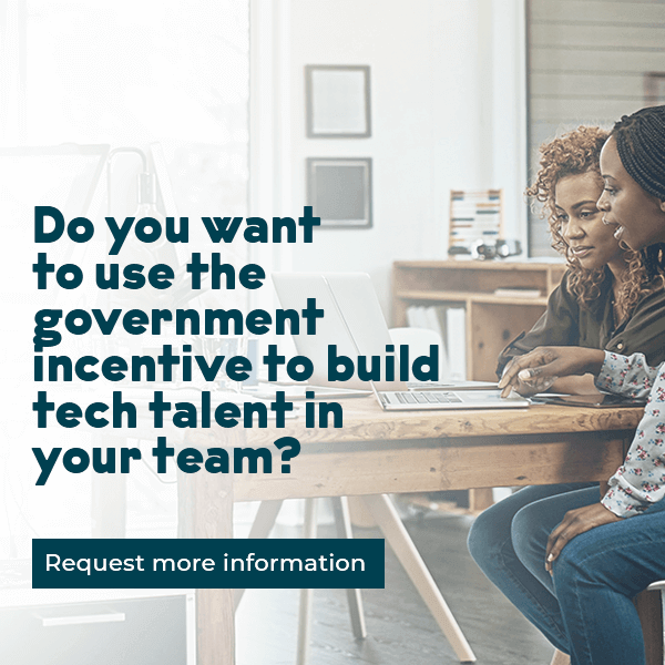 use the gov incentive to build tech talent