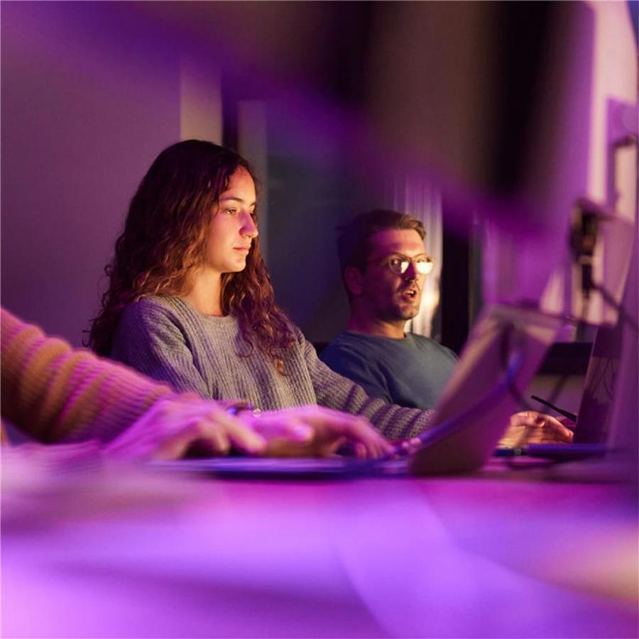 Colleagues on computers