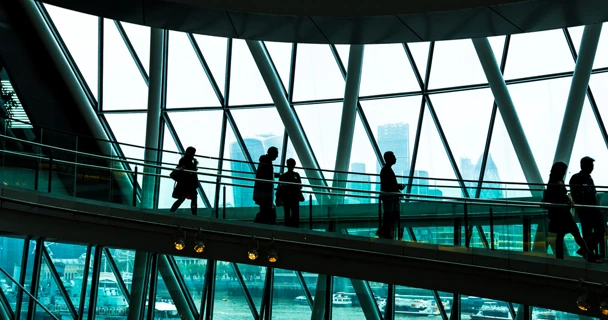 World leading training partners